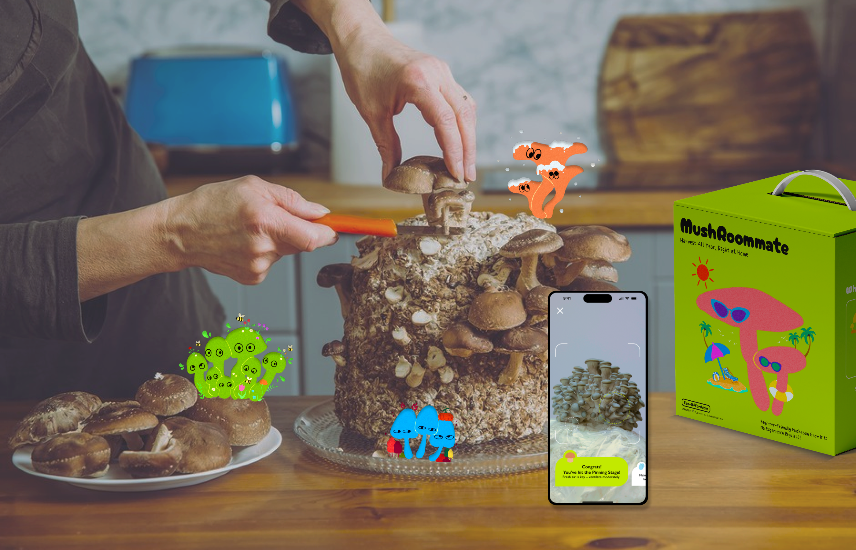 MushRoommate Project